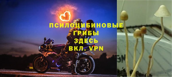 трава Алзамай